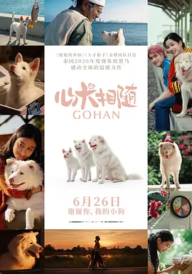 亚洲国产一区精品