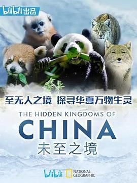 国产视频在线二区