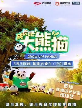 蜘蛛侠大战无人机高清在线观看视频